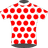 Climb Jersey
